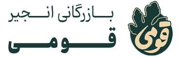 قومی